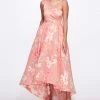 Marchesa Notte Floral Fils Coupé Hi-Lo Gown New Arrivals