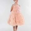 Marchesa Kids The Flower Girl Embellished Rose Motif Tulle Gown
